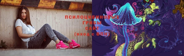 метадон Инта