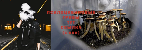 гашик Каменногорск
