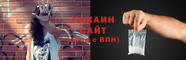 гашик Каменногорск