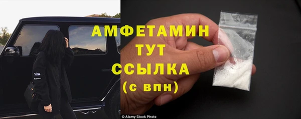 гашик Каменногорск