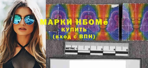 гашик Каменногорск