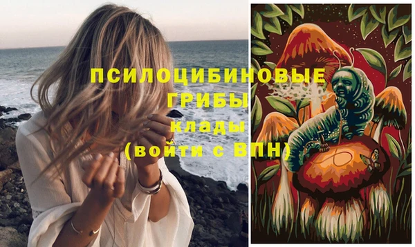 гашик Каменногорск