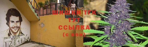 jwh Каменка